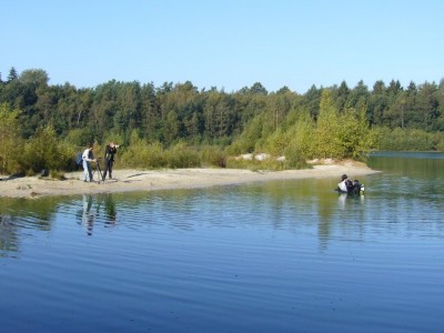 Opruimduik Ellertshaar