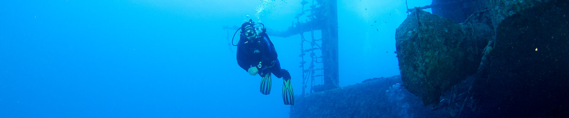 Calamari organiseert in 2019 weer de Onderwaterbiologie-opleiding
