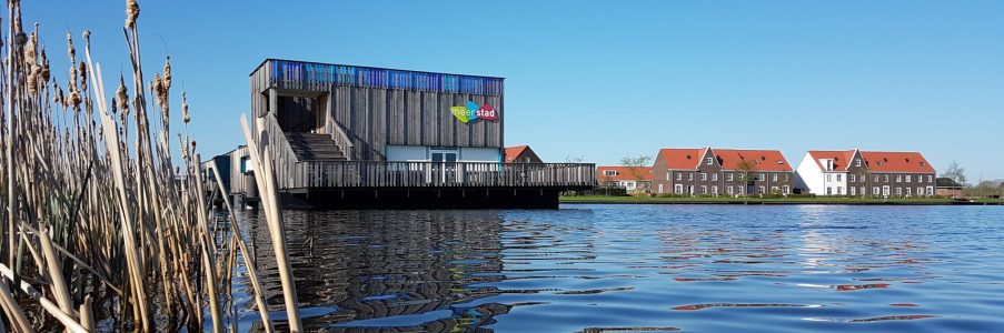 Wildernis Onder Water