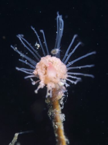 P5261472 (2)