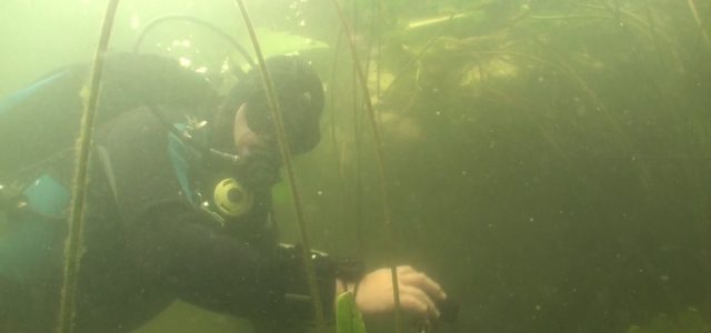 Dagje duiken in de Toolenburgerplas en de Blijkpolderplas