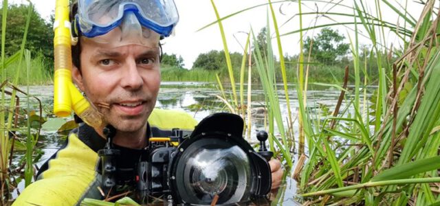 Otters in Nederland. En op de film straks!