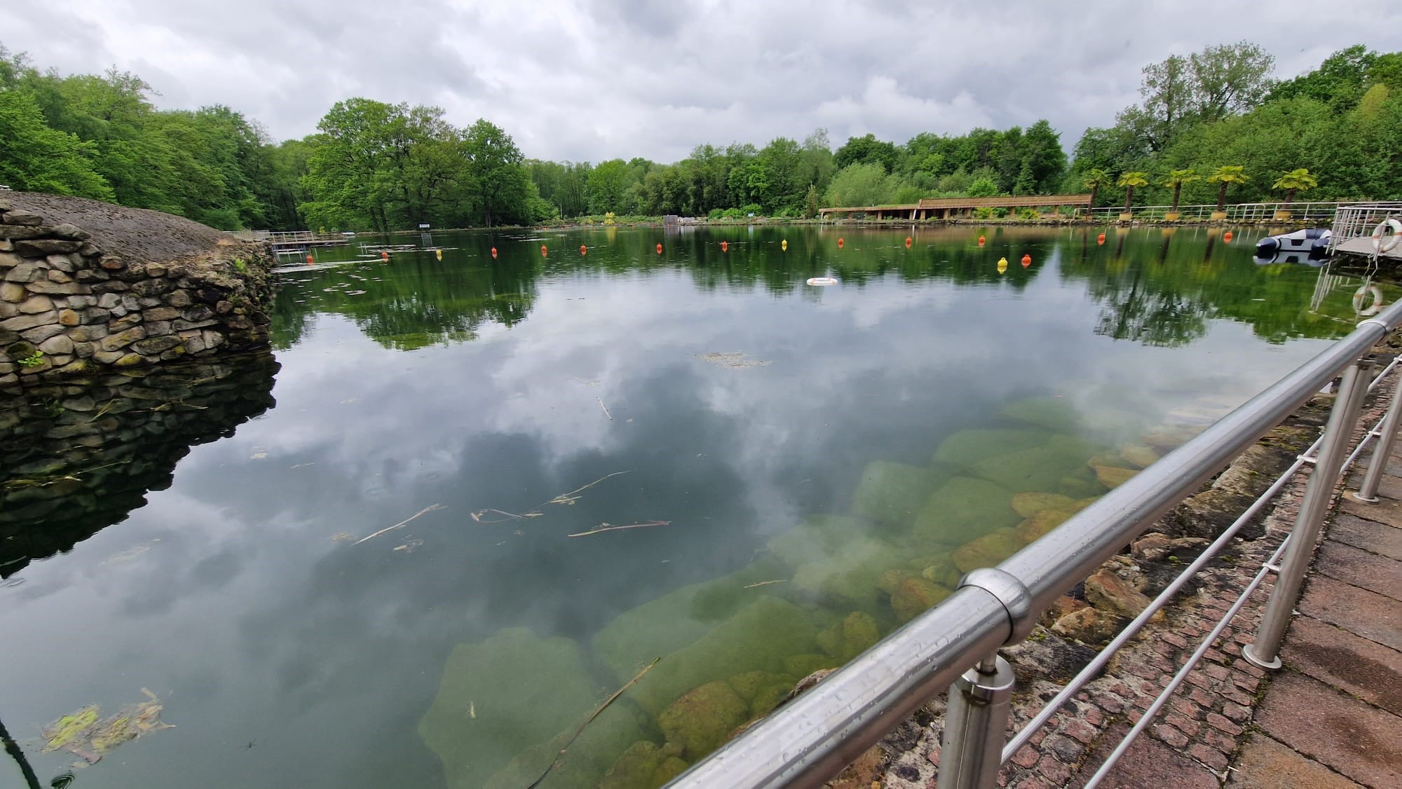 Verenigingsduik NaturaGart Ibbenbüren Hydrofiel