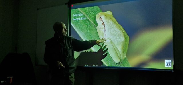 Winteravondvertelling Amfibieën