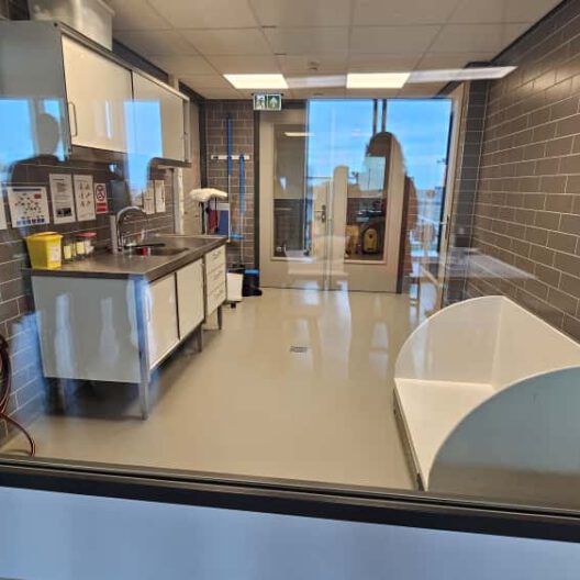 WhatsApp Image 2025-10-21 at 20.45.15