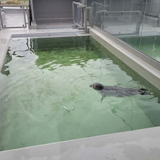 WhatsApp Image 2025-10-21 at 20.45.26 (1)