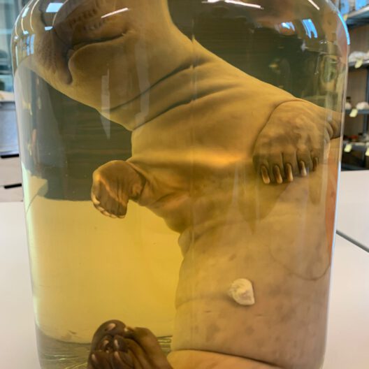 WhatsApp Image 2025-10-22 at 08.24.53