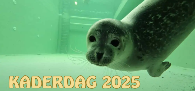 Kaderdag 2025