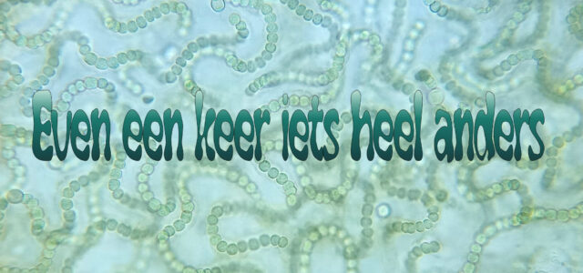 Even een keer iets heel anders