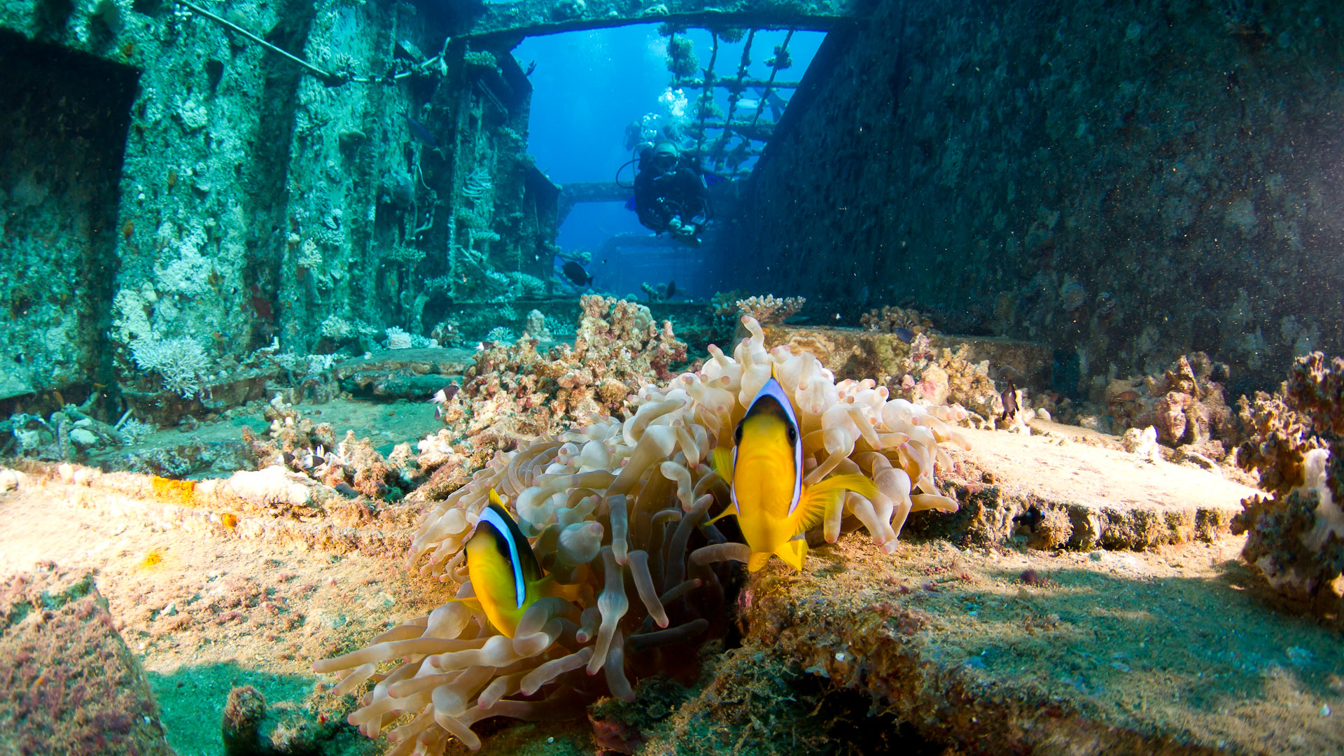 OLP_20141105-8664.jpg