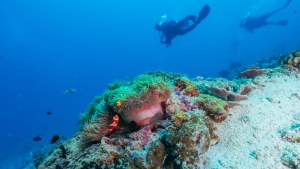 2024_Indonesie_Gili.Trawangan.HalikReef